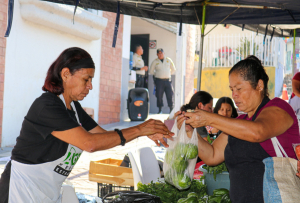 Agromercados facilitate food purchases in Morazán and San Salvador