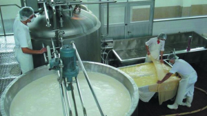 MAG anuncia la próxima operación de siete plantas para procesar lácteos salvadoreños