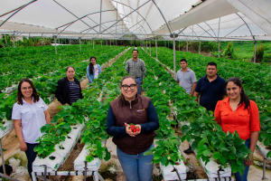 Walmart impulsa proyecto de invernaderos en agricultores de Chalatenango