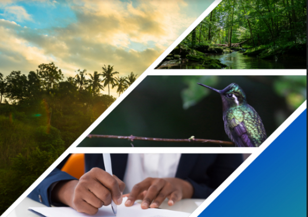 BCIE logra Certificación en Gestión Ambiental  en su oficina en El Salvador