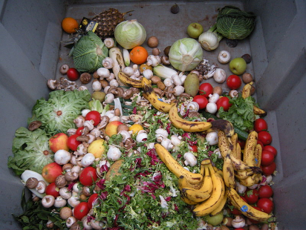 ONU: Más de 1.050 millones de toneladas de alimentos fueron desperdiciadas en 2022