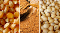 Wheat prices decrease 1.7% and corn prices decrease 0.1%.
