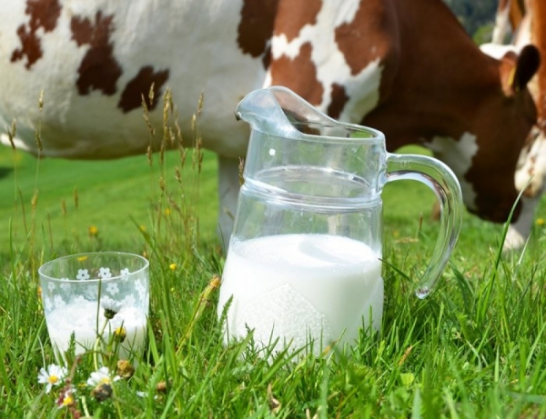MAG will close plants or companies that reconstitute milk
