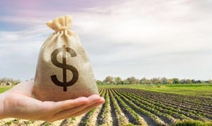 BANDESAL brinda líneas de créditos para el sector Agro