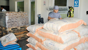 BCR indica que El Salvador exportó US$184.2 millones en azúcar hasta noviembre 2023
