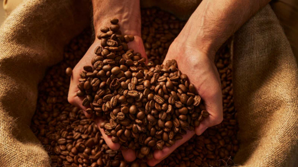 Precios del café Arábica bajan por venta especulativa e influencia de monedas