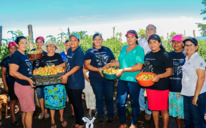 Mujeres de Moncagua apuestan a la producción de tomate CENTA Cuscatlán