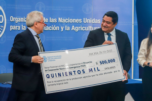 FAO donates US$500,000 to help solve damages in the agricultural sector caused by storm Julia