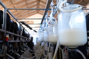 USAID y PROLECHE firmaron un acuerdo para mejorar la competitividad de la cadena de valor de lácteos en el país
