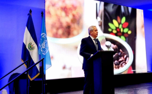 The Government of El Salvador and FAO promote investment of US$21.3 million in the coffee sector