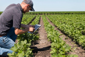 IICA conectó a startups de tecnologías para impulsar la agricultura con transformación digital