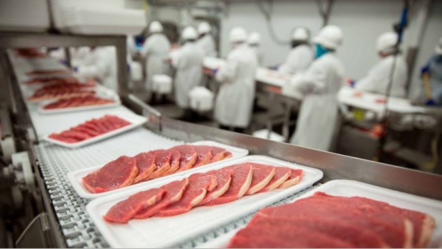 Empresarios chinos instalarán plantas para extracción de mariscos y carne de cerdo