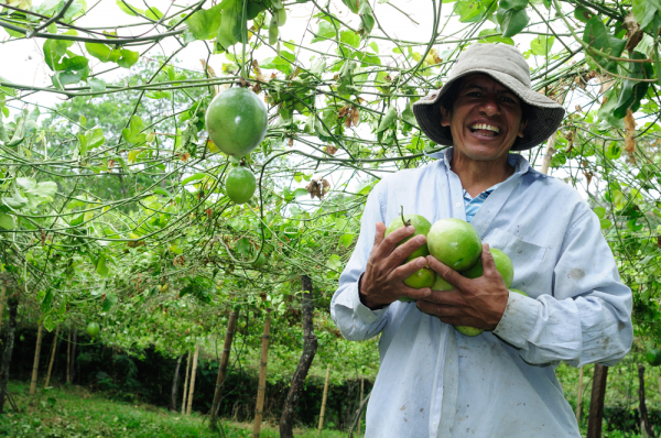 IICA buscará facilitar el comercio agrícola internacional incluyendo a El Salvador