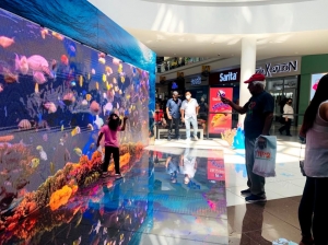 Plaza Mundo celebró a lo grande con el acuario virtual