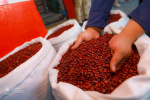 Verifica precios de granos básicos para proteger la economía de los salvadoreños