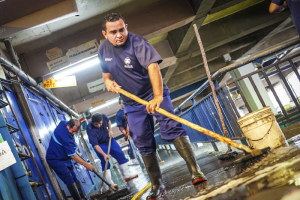 Mercado Tinetti: más de 2,000 beneficiados con jornada de limpieza