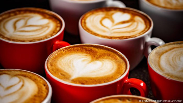Precios del café Arábica bajan en sesión relativamente estable a US$175.60