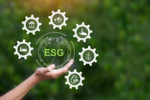 La firma EY resalta la importancia de la sostenibilidad