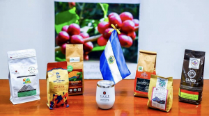 El Salvador logra denominación de origen para cinco marcas de café Premium