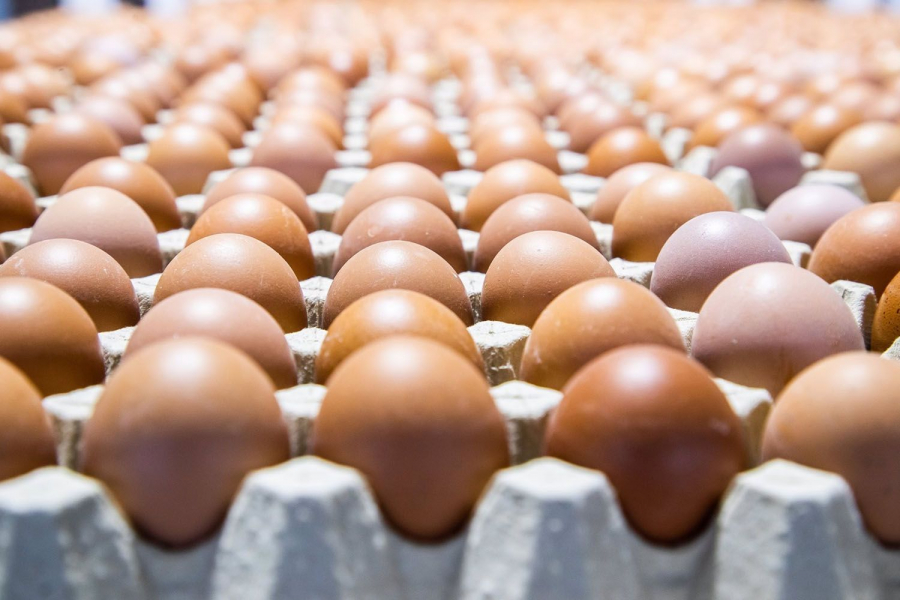 Precios de los huevos en El Salvador se mantienen a pesar de las alzas en EE. UU