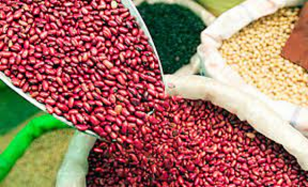 Defensoría del Consumidor registers decrease in corn and beans prices