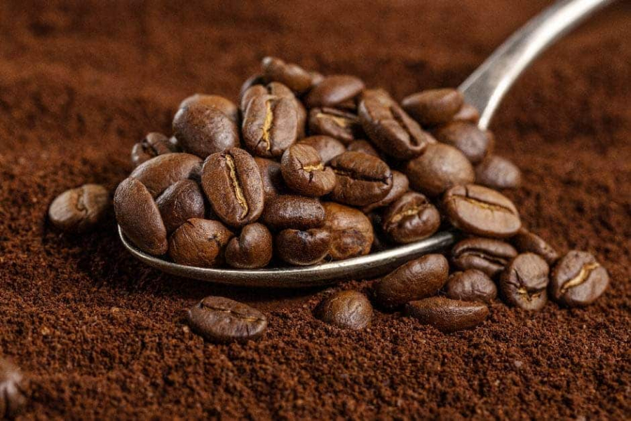 Programa de apoyo al café ha provisto insumos y asistencia para 1,000 productores