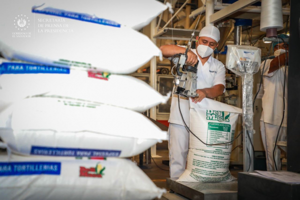Defensoría realiza verificaciones de abastecimiento de granos básicos como maíz y frijol
