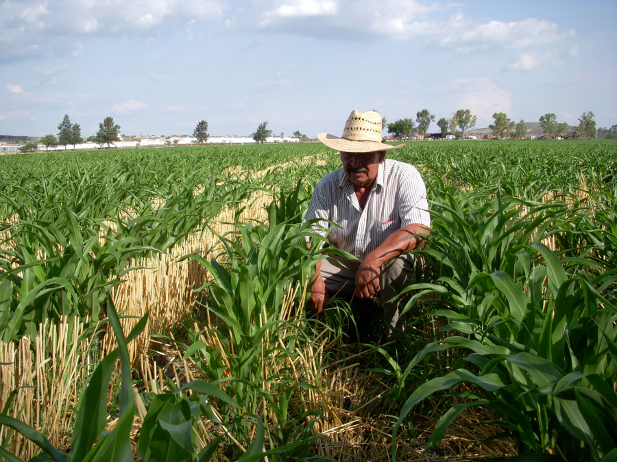 IICA y sector privado AAPRESID buscan integración entre productores agropecuarios