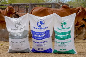 Nueva marca de concentrado para bovino promete reducir costos y mejorar alimentación