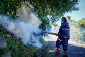 208 mil personas beneficiadas con jornadas de fumigación en San Salvador
