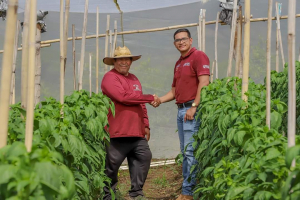 Sembrando Vida Plan increases the country&#039;s agricultural productivity