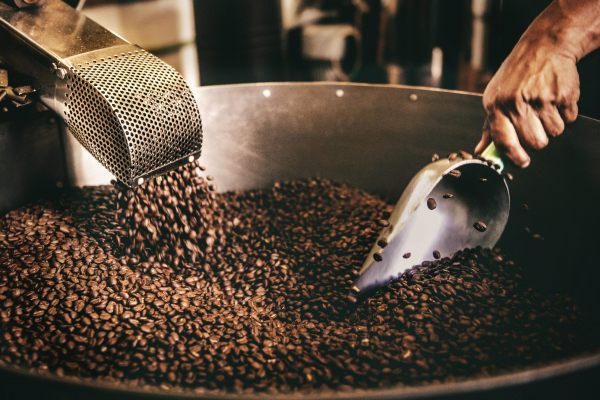 Precios del café Arábica bajan por influencia de factores especulativos y noticias de oferta