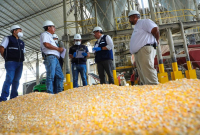 Defensoría realizó verificación de precios de alimentos en Sonsonate
