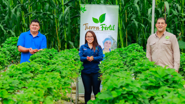 WALMART strengthens suppliers in Chalatenango and Sonsonate with agricultural technology