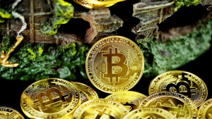 Samson Mow busca expandir posibilidades que ofrece el Bitcoin en la producción agrícola