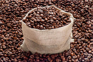 Arabica coffee futures down on speculative selling pressure and dollar appreciation
