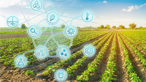 La inclusión de pequeños productores es indispensable para la transformación digital agroalimentaria