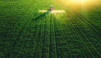 Agricultura: Un pilar de la economía global