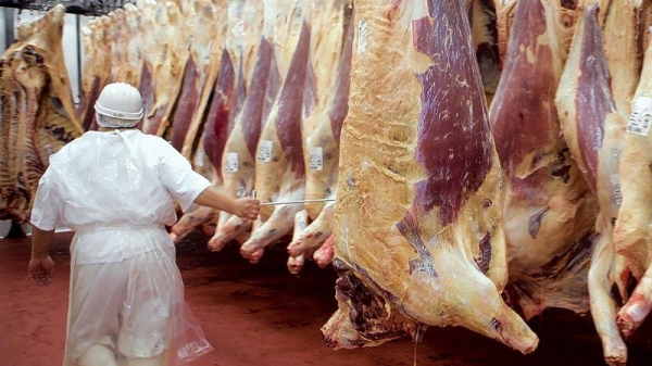 Diputados a favor eliminar aranceles de importación a la carne de res