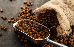 Coffee production forecast for 2022 is 872,760 quintals