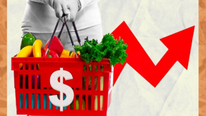 Un promedio de US$360 millones han invertido en las 11 medidas anti inflación