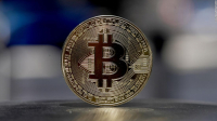Bitcoiners to invest US$5 million in salvadoran companies focused on hyperbitcoinization