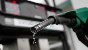 Regular gasoline price will be US$3.90 per gallon from january 01 to 09
