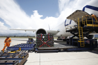 IATA: Latinoamérica registra mejor rendimiento de carga aérea en enero del 2023