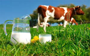Sector lácteo de Centroamérica lanza guía para garantizar una producción de mayor calidad