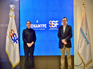 SSF y CONAMYPE lazaron la segunda edición del diplomado “Asesoría financiera para Mype”