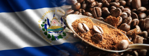 Exportaciones de Café en El Salvador se Disparan: Aumento del 572%