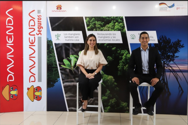 Davivienda Seguros ratifies its commitment to the conservation of mangroves