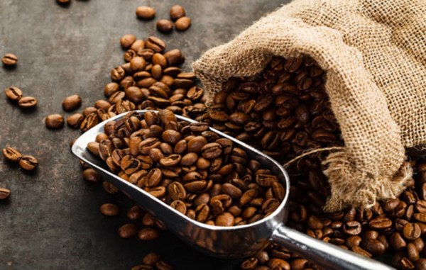 La previsión de producción de café para 2022 es de 872,760 quintales
