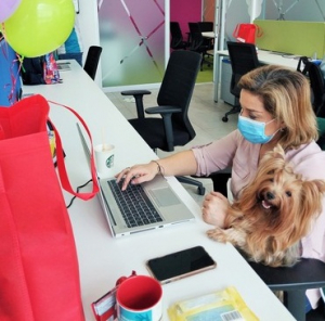 Los colaboradores de Nestlé en El Salvador llevan sus mascotas a la oficina con el programa “Pets at Work” de Purina
